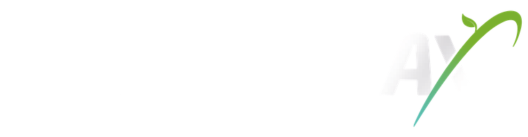 Definamax